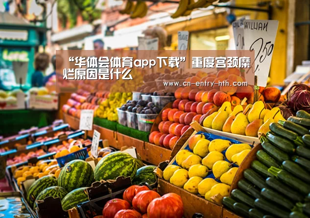 华体会app