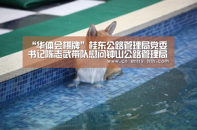 华体会体育app下载