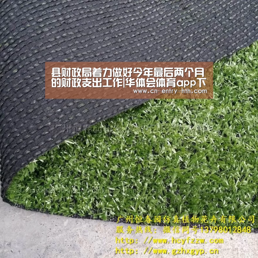 华体会官方网站入口