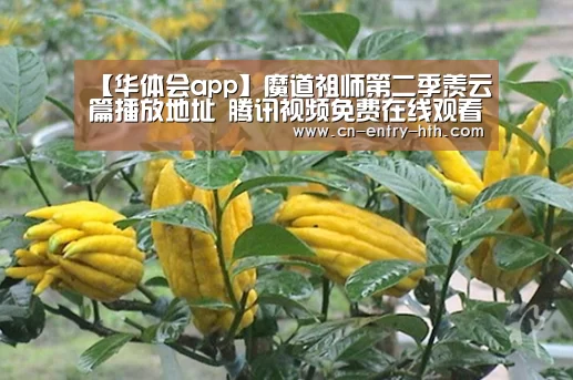 华体会官方网站入口