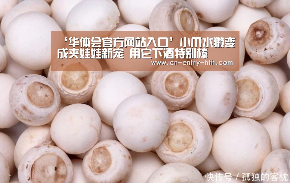 华体会官方网站入口