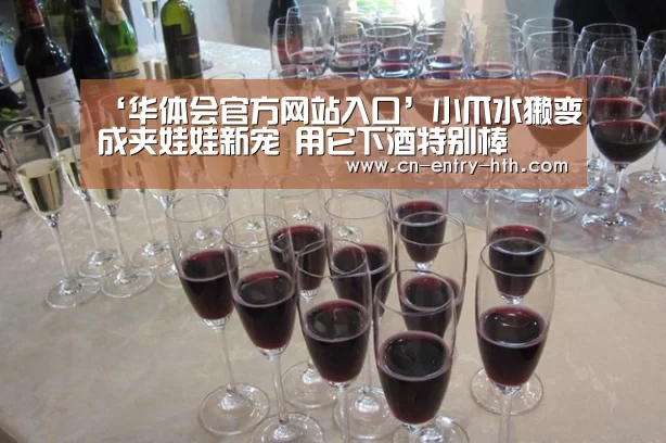 华体会官方网站入口