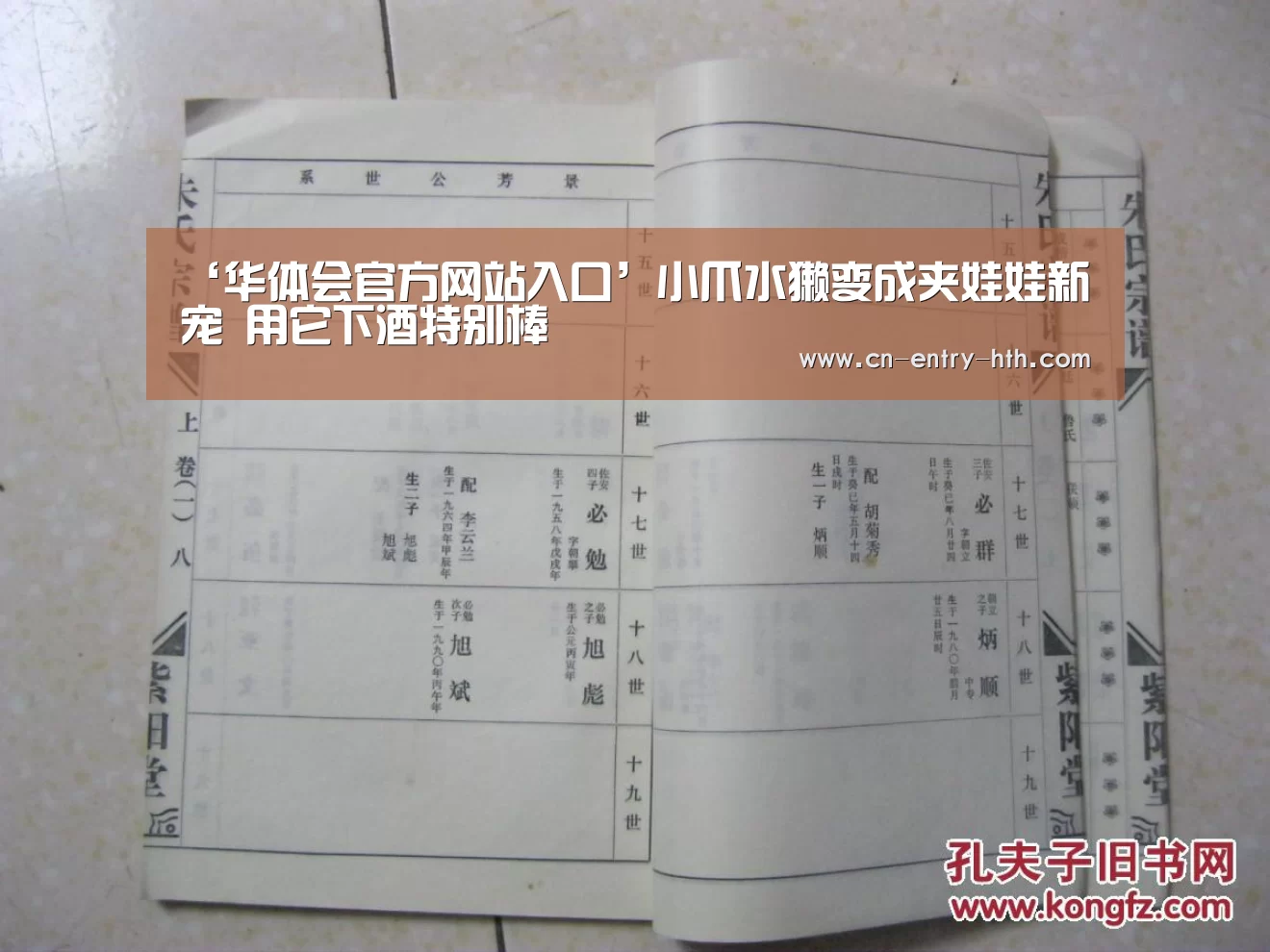 华体会官方网站入口