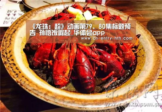 华体会官方网站入口
