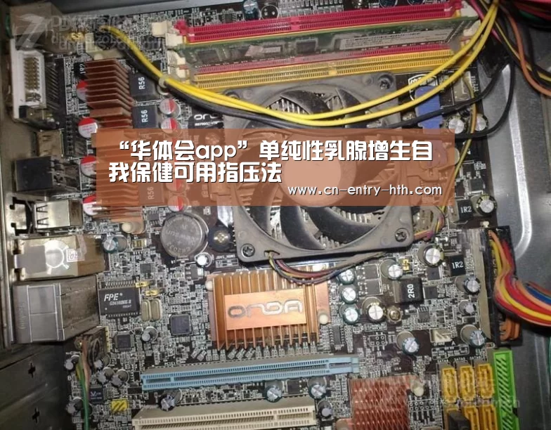 华体会app
