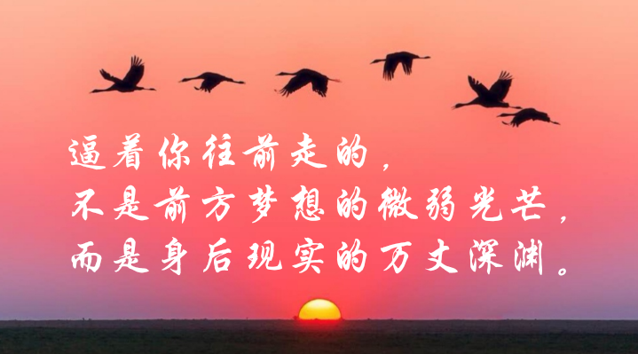 华体会官方网站入口