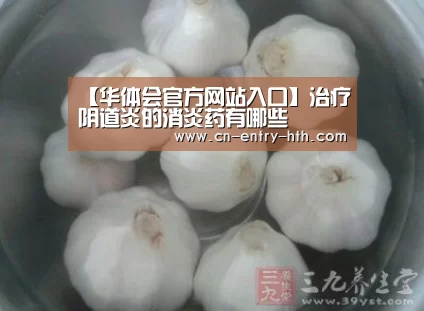 华体会官方网站入口