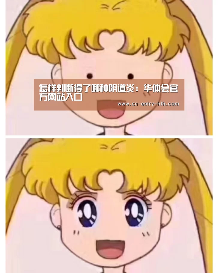 华体会官方网站入口